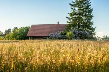 Фото номера Дом для отпуска Дома для отпуска Northern Zen г. Kaunispe 42